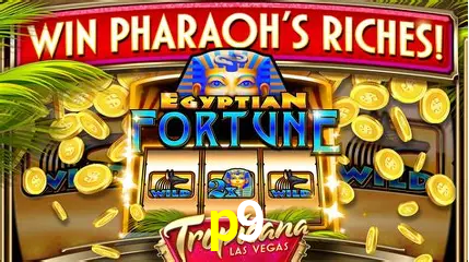 Live Casino p9
